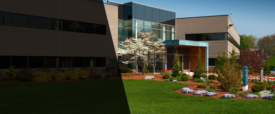 Saint Peters Landscapers