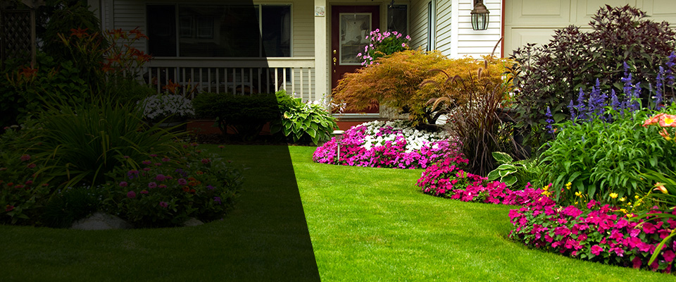 Saint Peters Landscapers